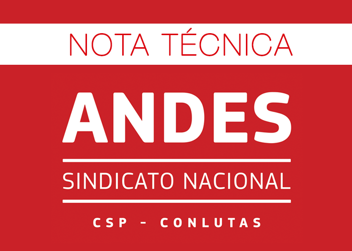 Nota Técnica preliminar da Assessoria Jurídica Nacional – AJN do ANDES-SN, sobre o Decreto Nº 9.991/19