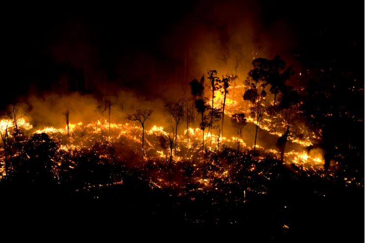 Imagem: amazonia.org.br