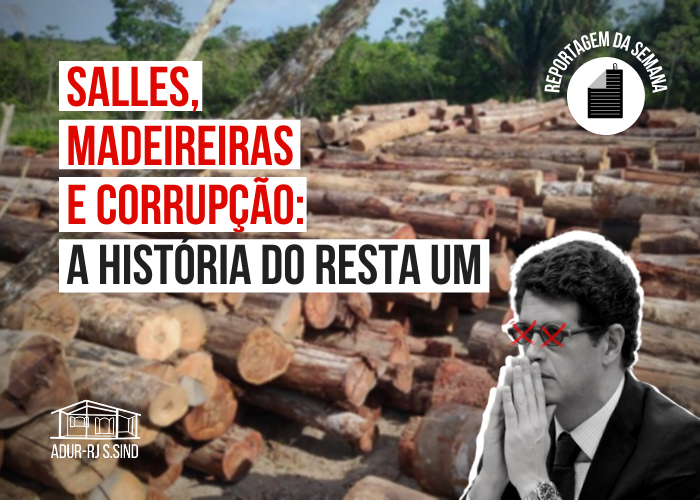 Salles, madeireiras e corrupção: a história do resta um