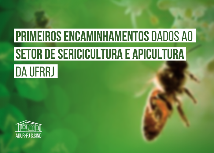 Primeiros encaminhamentos dados ao Setor de Sericicultura e Apicultura da UFRRJ